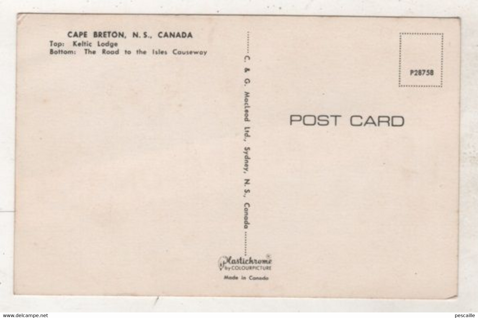 CANADA NEW SCOTLAND - CP GREETINGS FROM CAPE BRETON - C. & G. MACLEOD LTD SYDNEY N.S. CANADA - Cape Breton
