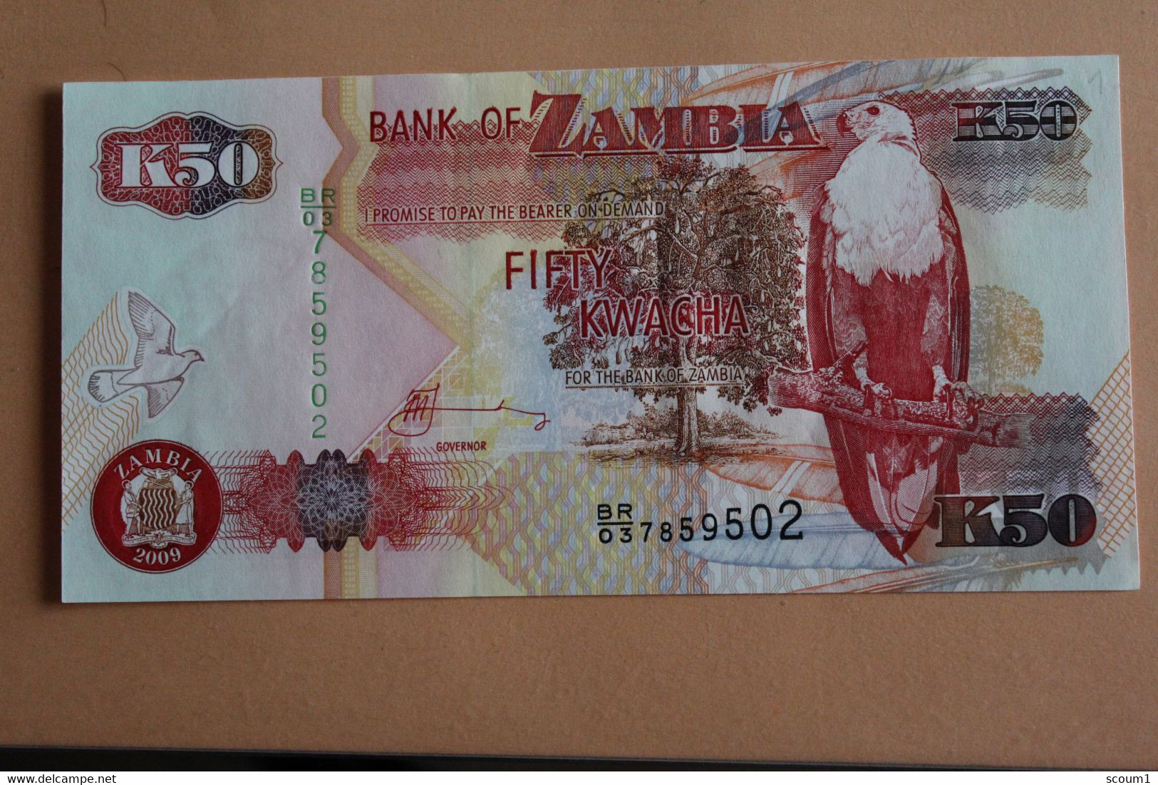 Billet - K50 Bank Of Zambia - Autres - Asie