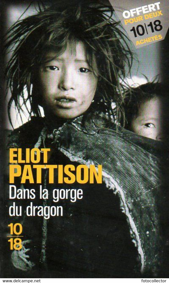 Grands Détectives 1018 N° 3648 : Dans La Gorge Du Dragon Par Eliot Pattison (ISBN 9782264057181) - 10/18 - Grands Détectives