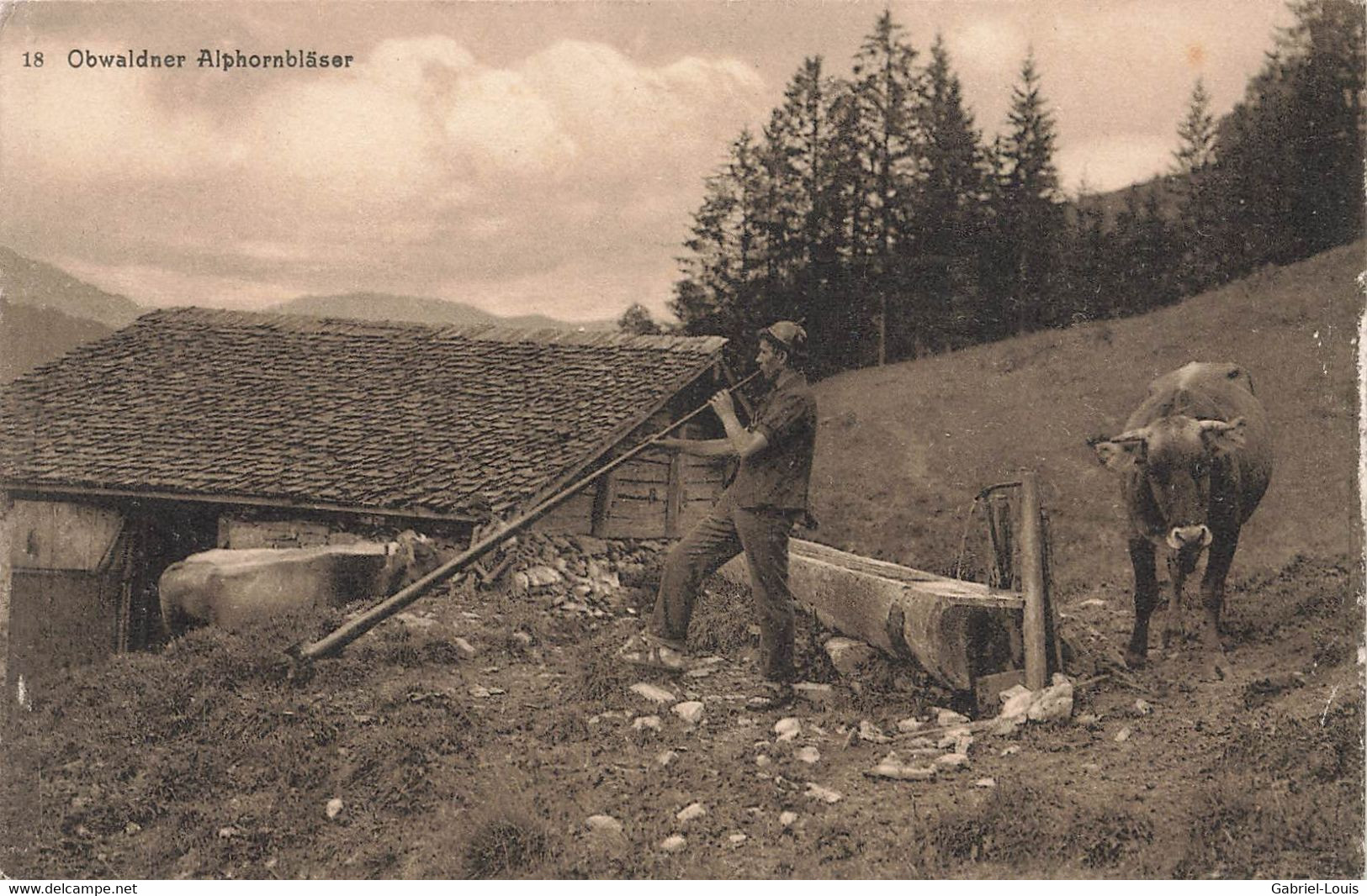 Obwalder Alphornbläser LUNGERN ? Kühe Alpweide Bergbauer - Lungern