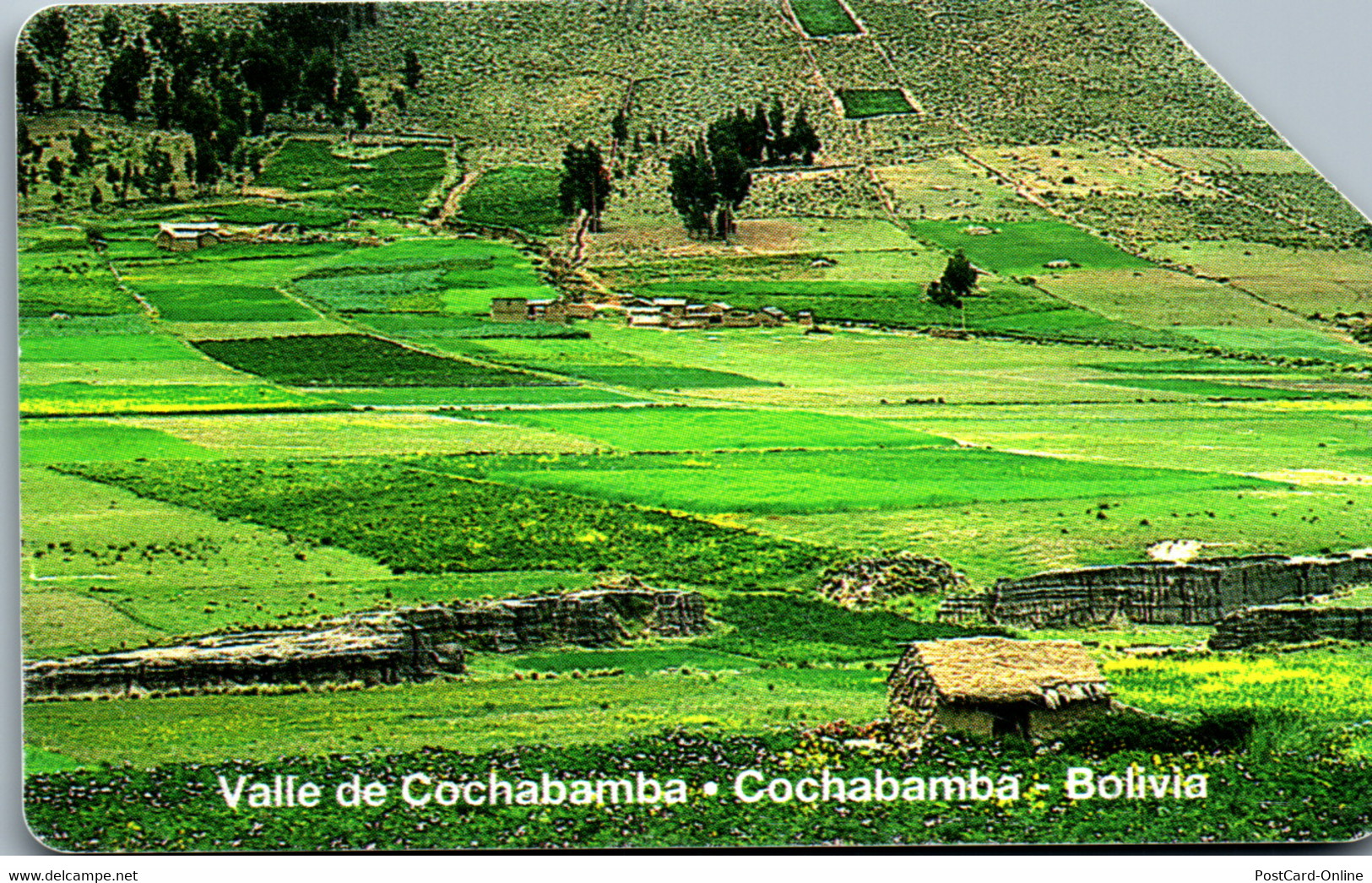 20761 - Bolivien - Valle De Cochabamba - Bolivia