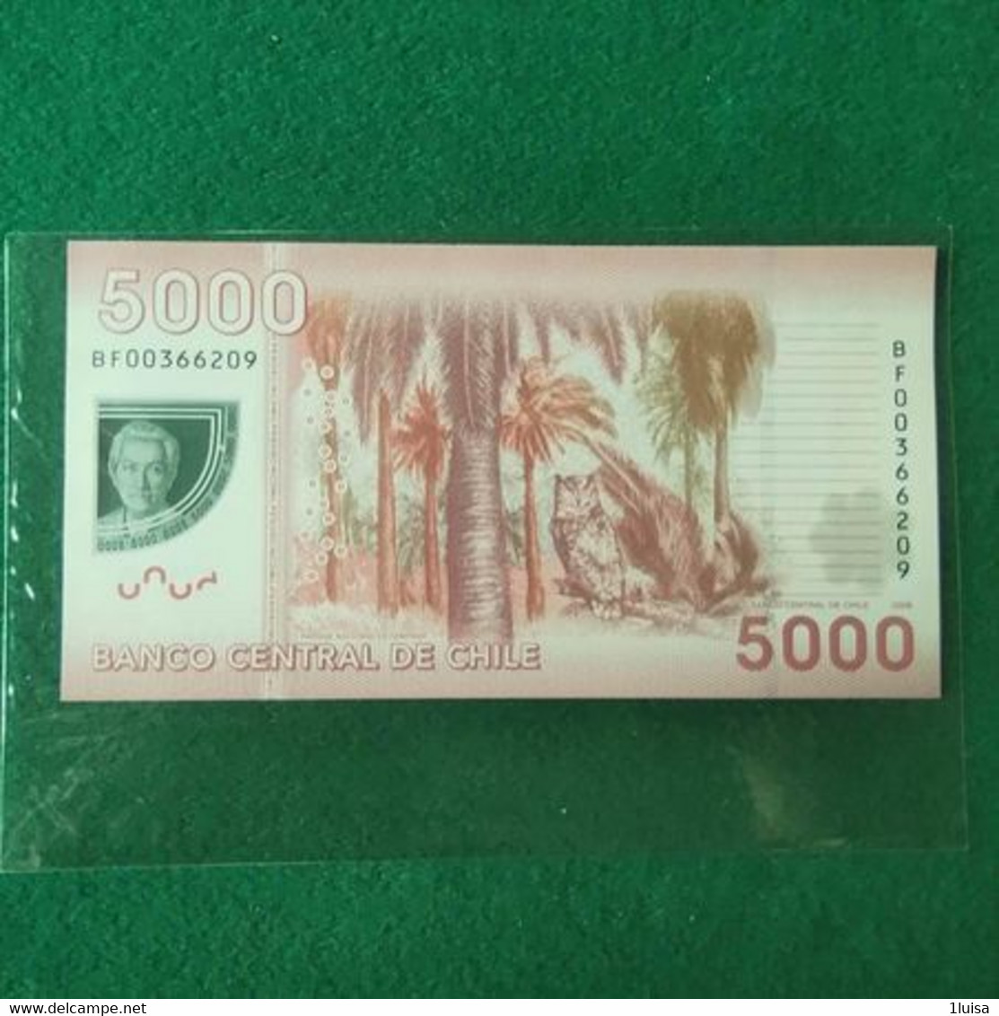 CILE 5000 PESOS 2009 - Chile