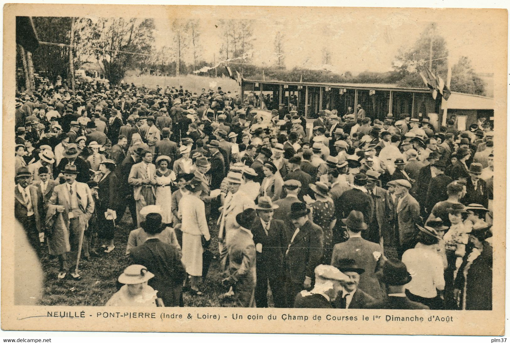 NEUILLE PONT PIERRE - Un Coin Du Champ De Courses - Neuillé-Pont-Pierre