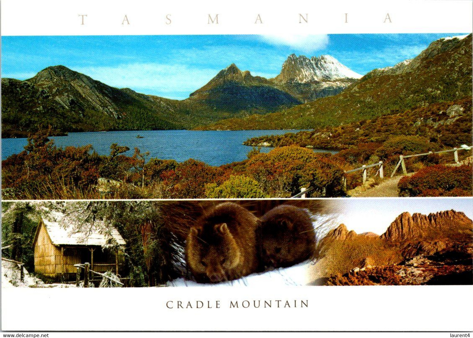 (2 B 36) Australia - TAS  - UNESCO - Cradle Mountains - Wilderness