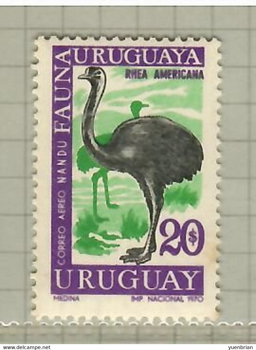 Uruguay 1970, Bird, Birds, Greater Rhea, 1v (break From Set Of 7v), MNH** (Tiny Yellow Spot On Side)!! - Ostriches