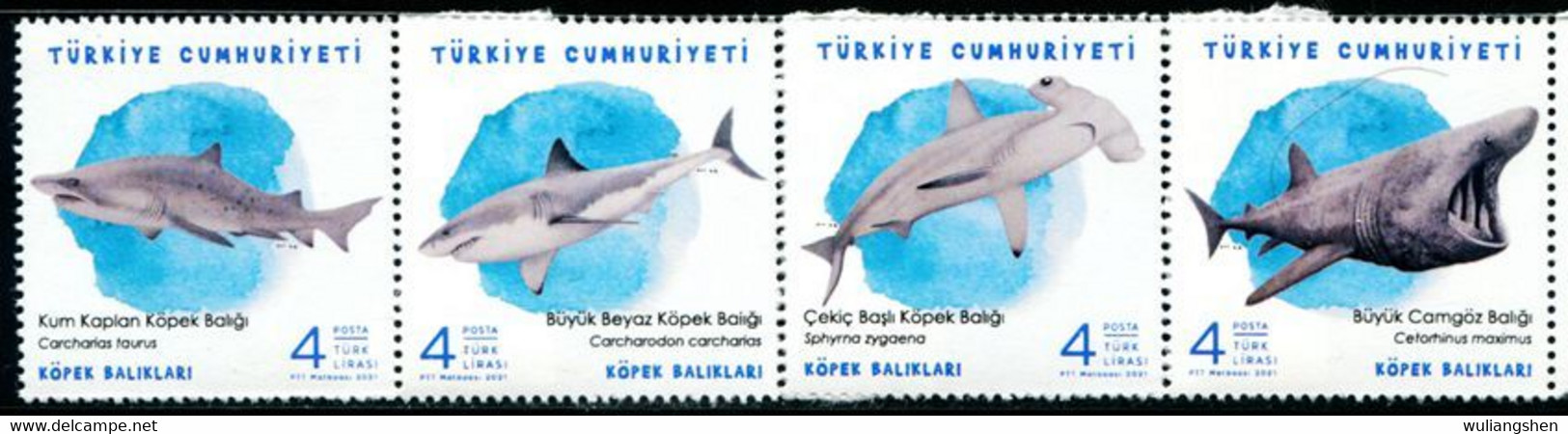 XG1621 Turkey 2021 Various Sharks 4V MNH - Neufs