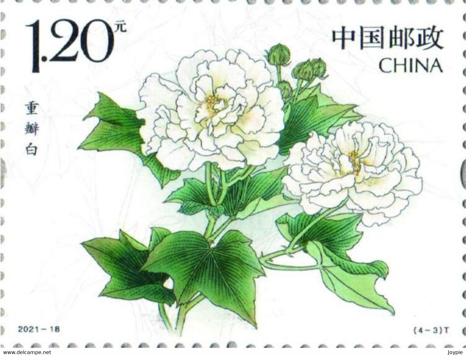 China 2021-18 "Hibiscus Arborescens",4v, MNH,VF,Post Fresh - Unused Stamps