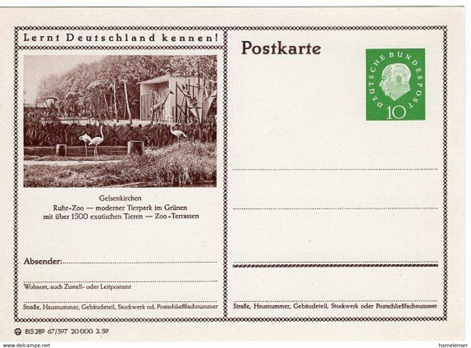 50261 -  Bund - 1959 - 10Pfg. Heuss III Bild-GAKte. "Flamingos" & "Giraffen" Ungebr. - Flamingos