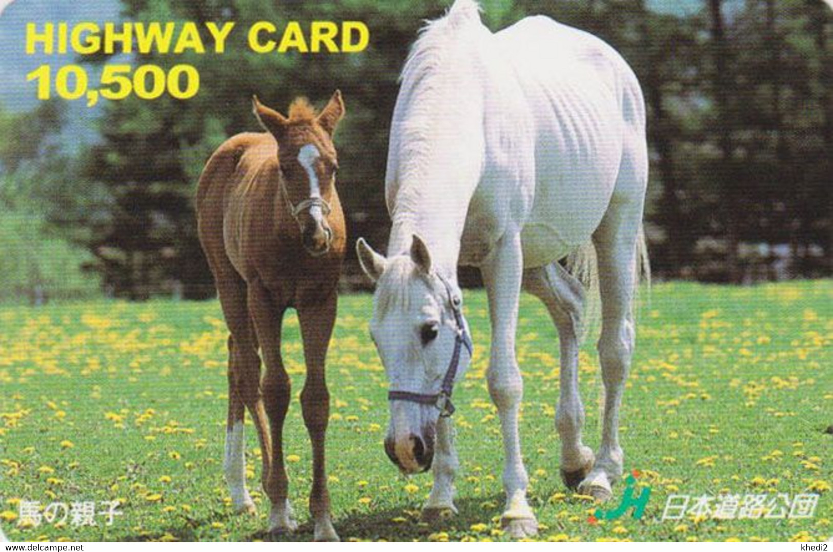 Carte Prépayée JAPON - ANIMAL - CHEVAL  - HORSE JAPAN Prepaid Highway Card - BE HW 363 - Pferde