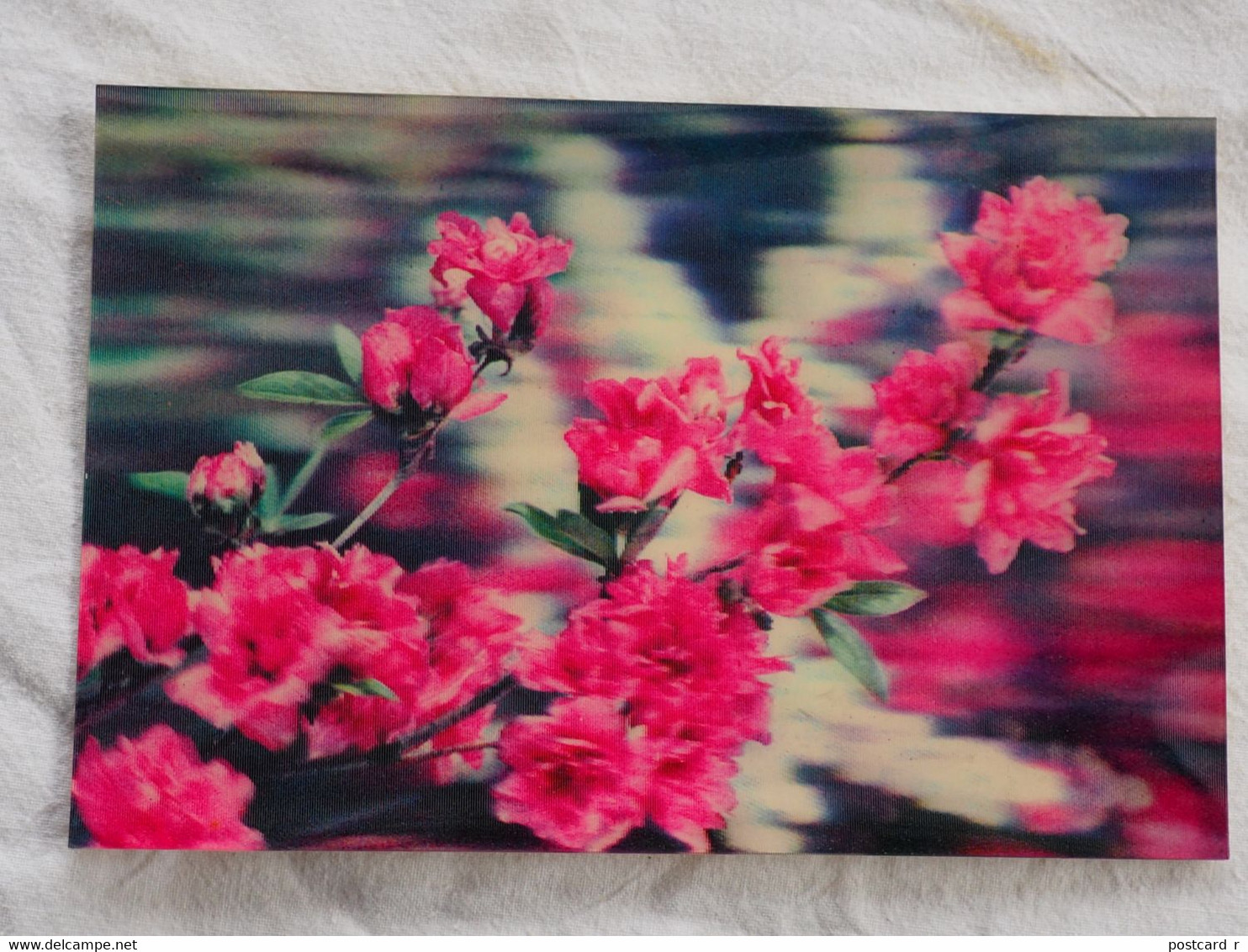 Korea, North 3 D card Pyongyang Rhododendron yedoense    A 212