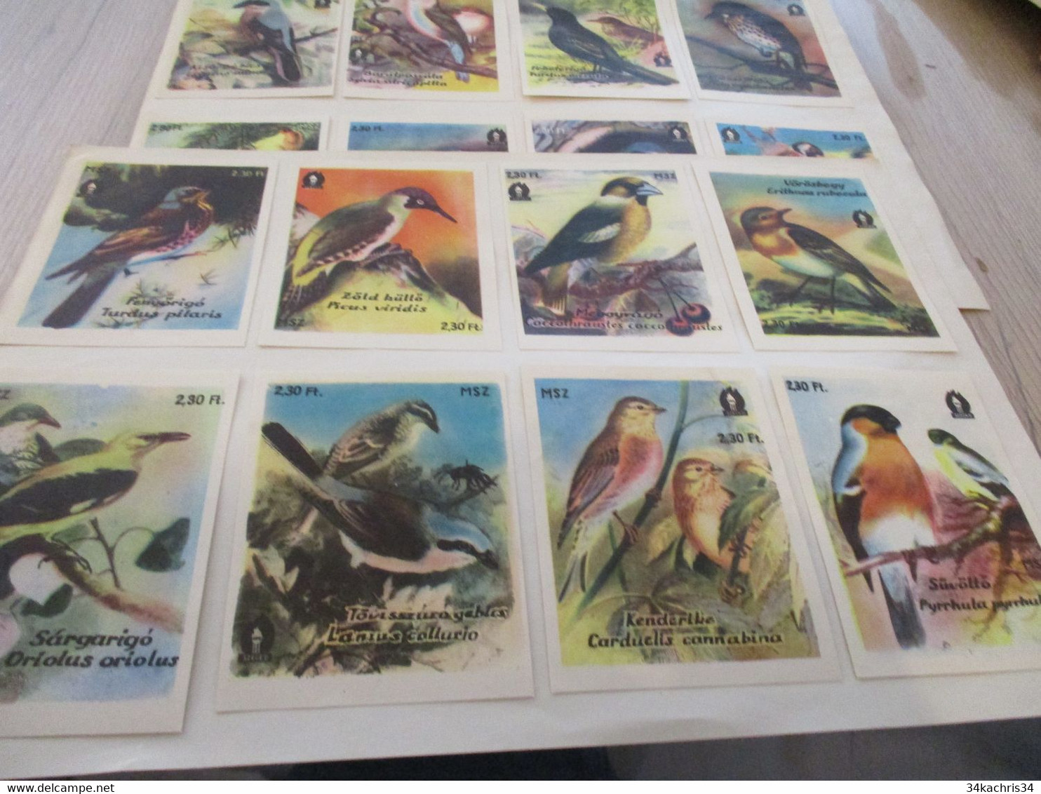 Collection Devant De Boîte D'allumettes Smatches X2 Planches Oiseaux Birds En Flamand - Zündholzschachteln