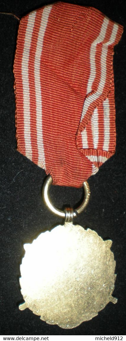 MEDAILLE DES SERVICES ARMES DE TROISIEME CLASSE - 20 ANS DE SERVICE - POLOGNE - Autres & Non Classés