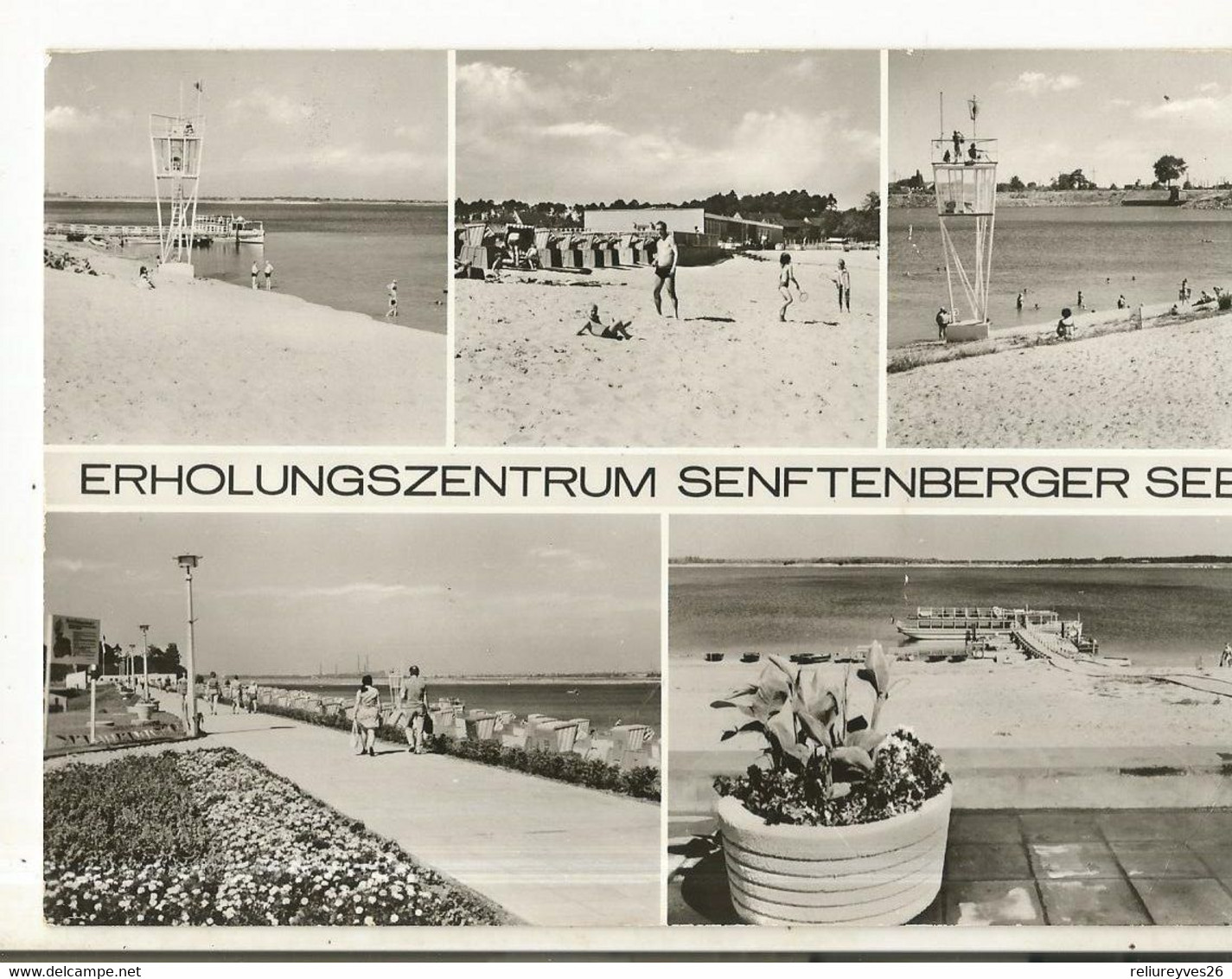 CPSM, Allemagne , N° 103/83 , Erholungszentrum Senftenberger See, Ed.Heimat - Senftenberg