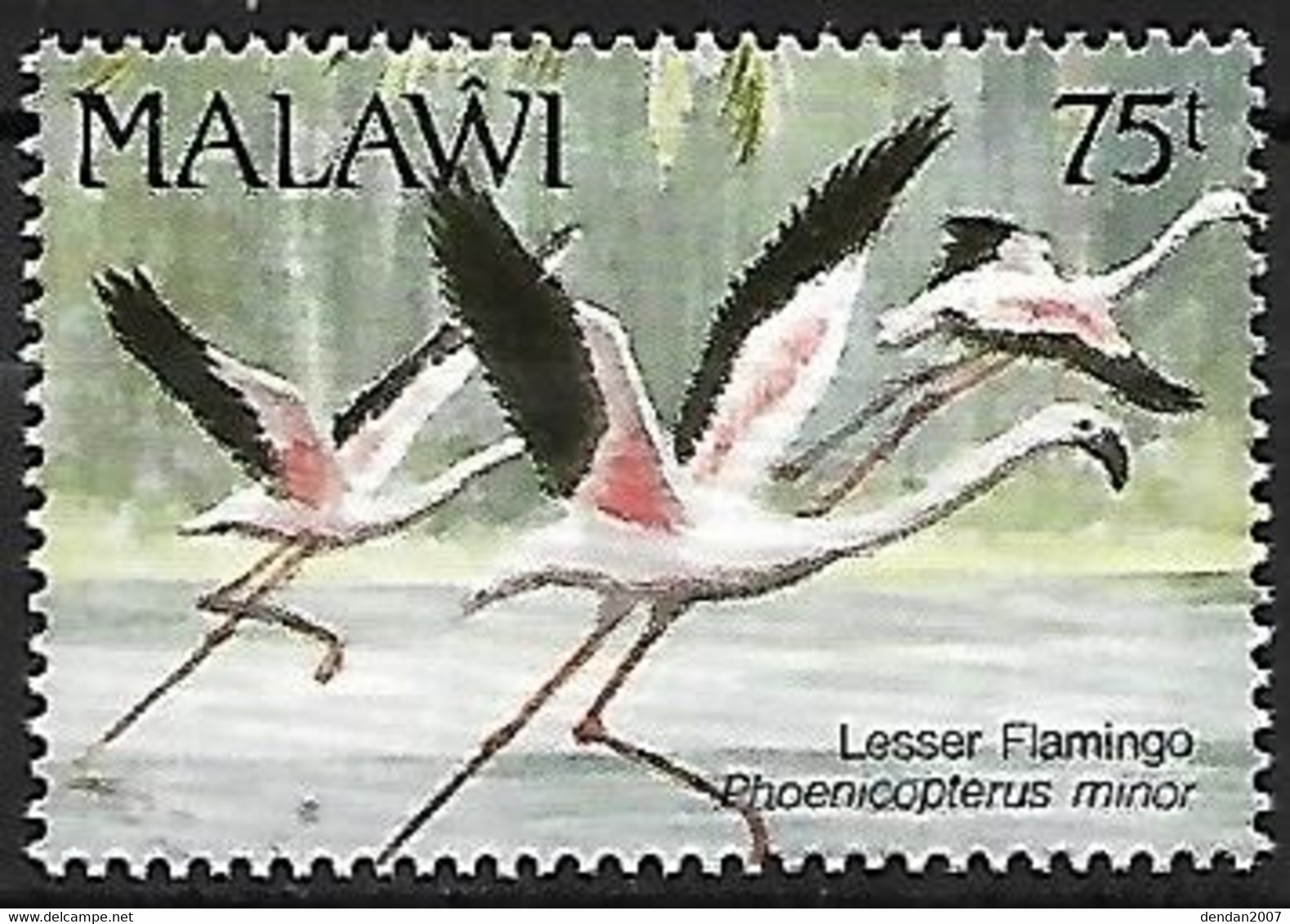 Malawi - MNH ** 1992 :    Lesser Flamingo  -  Phoeniconaias Minor - Flamingo's