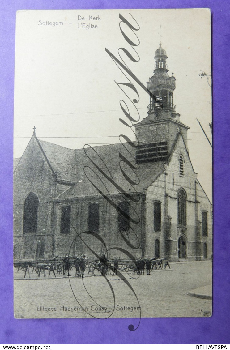 Zottegem.  Kerk & Kasteel Graaf Egmont - 2 X Cpa - Zottegem