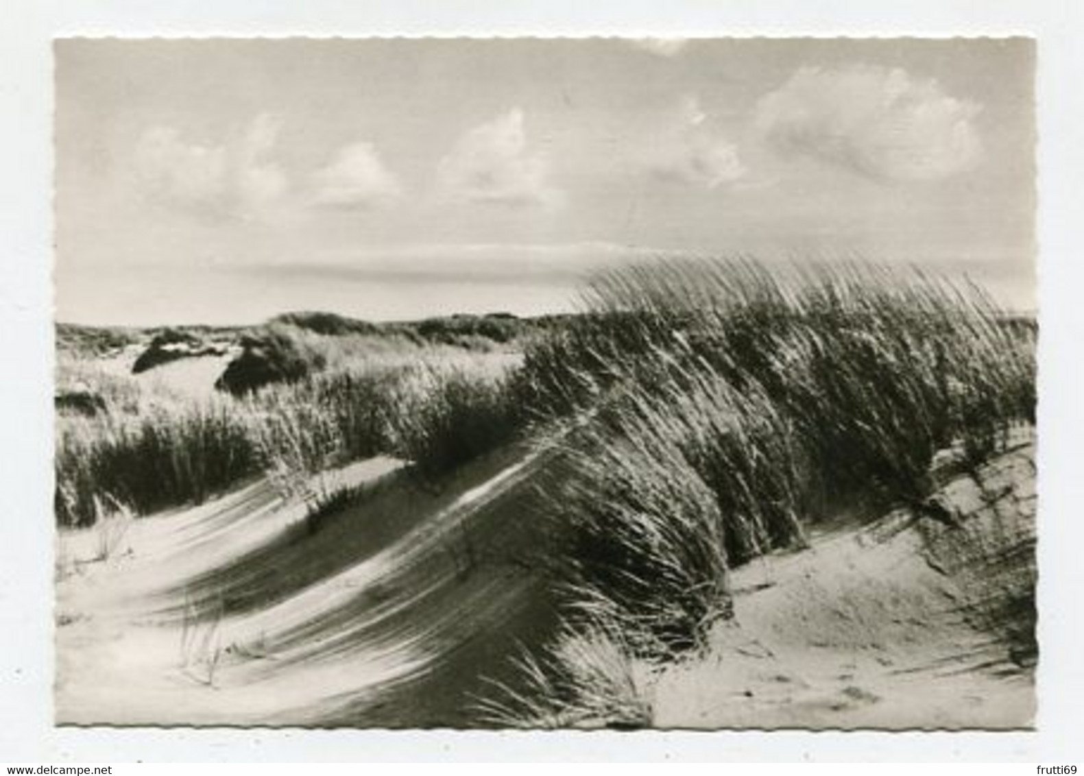 AK 020786 GERMANY - Insel Amrum - In Den Dünen - Nordfriesland