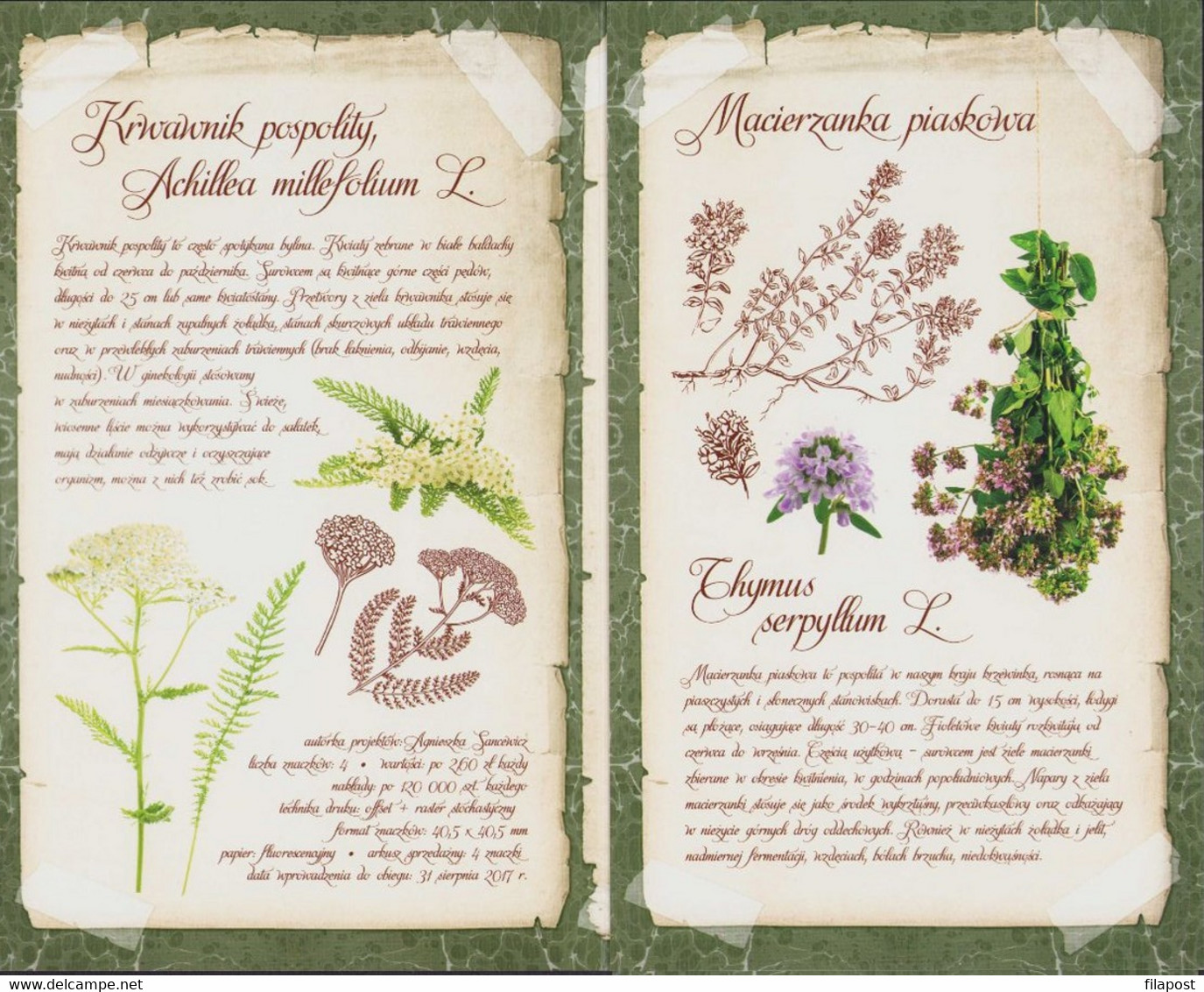 Poland 2017 Booklet / Polish Herbarium - Cornflower, Common Chamomile, Yarrow, Sand Thyme Herbs / FDC + Sheet MNH** - Postzegelboekjes