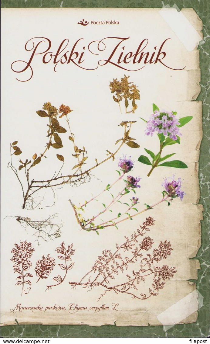 Poland 2017 Booklet / Polish Herbarium - Cornflower, Common Chamomile, Yarrow, Sand Thyme Herbs / FDC + Sheet MNH** - Libretti
