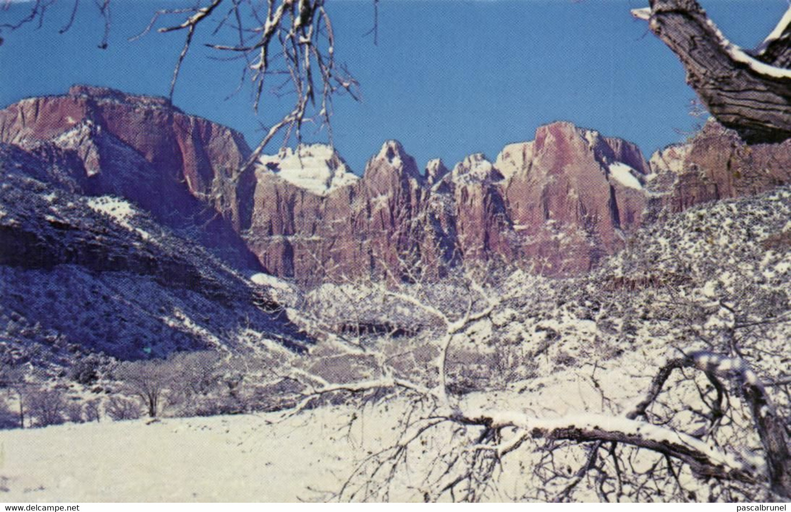 ZION NATIONAL PARK - SPRINGDALE - WEST TEMPLE AND TOWERS OF THE VIRGIN - Zion