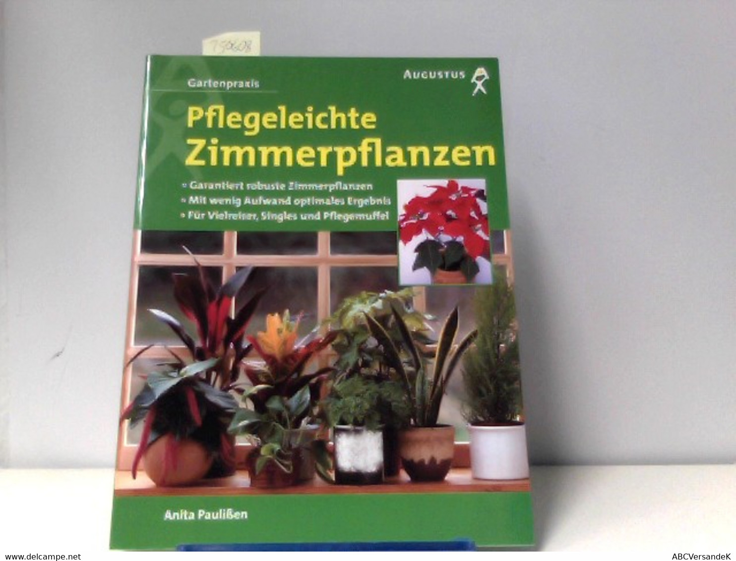 Pflegeleichte Zimmerpflanzen - Natura