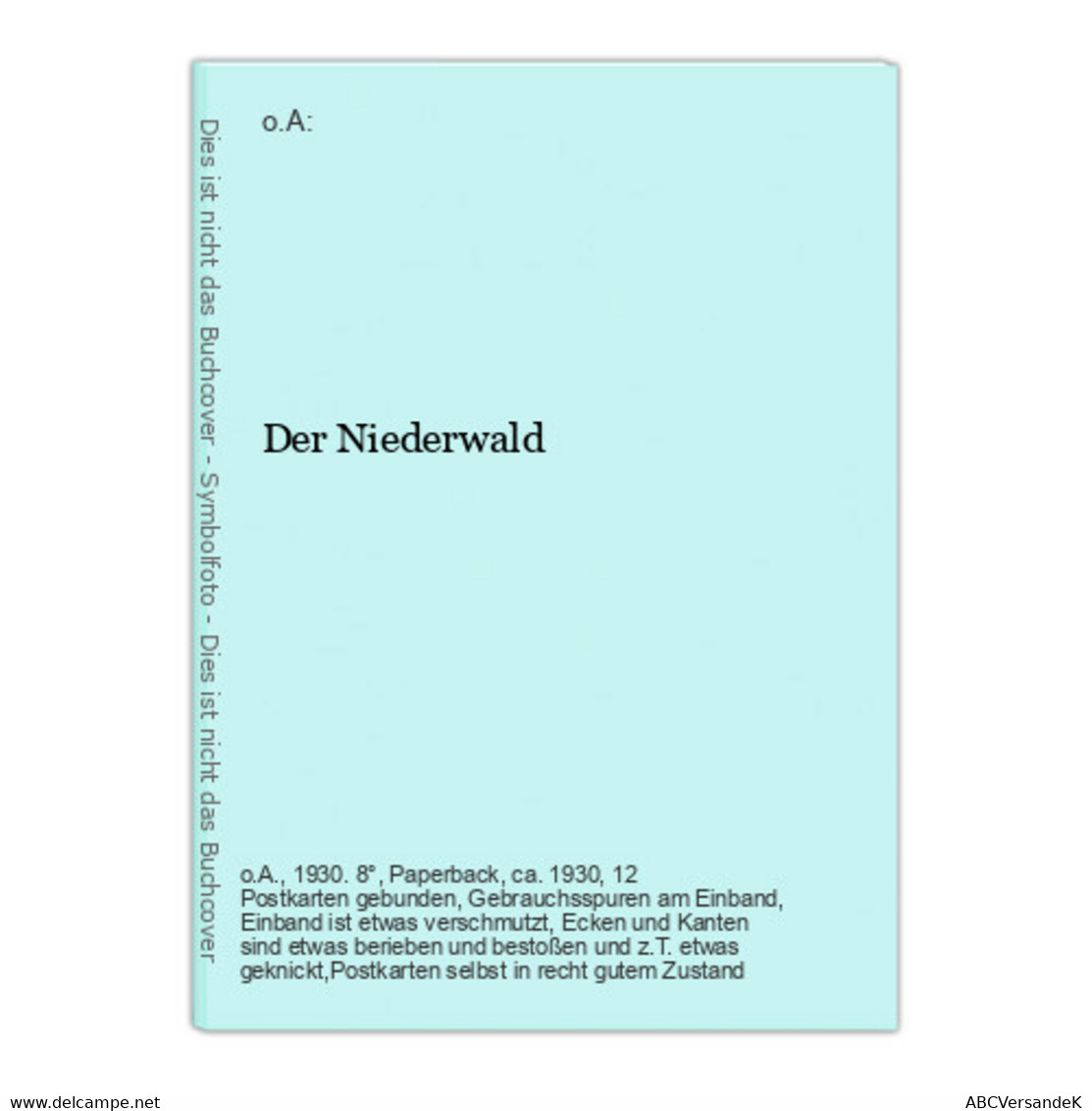 Der Niederwald - Allemagne (général)