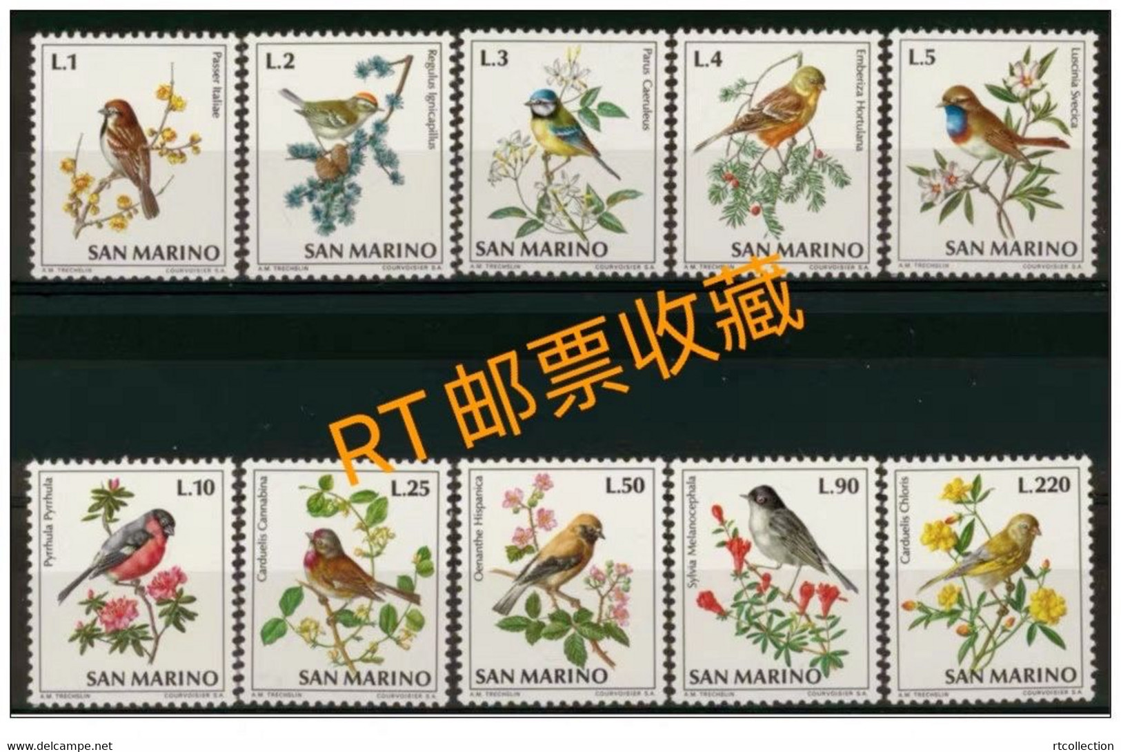 San Marino 1972 Song Birds Nature Flowers Plants Bird Flora Plant Fauna Songbirds Sparrows Stamps MNH Scott 777-786 - Spatzen