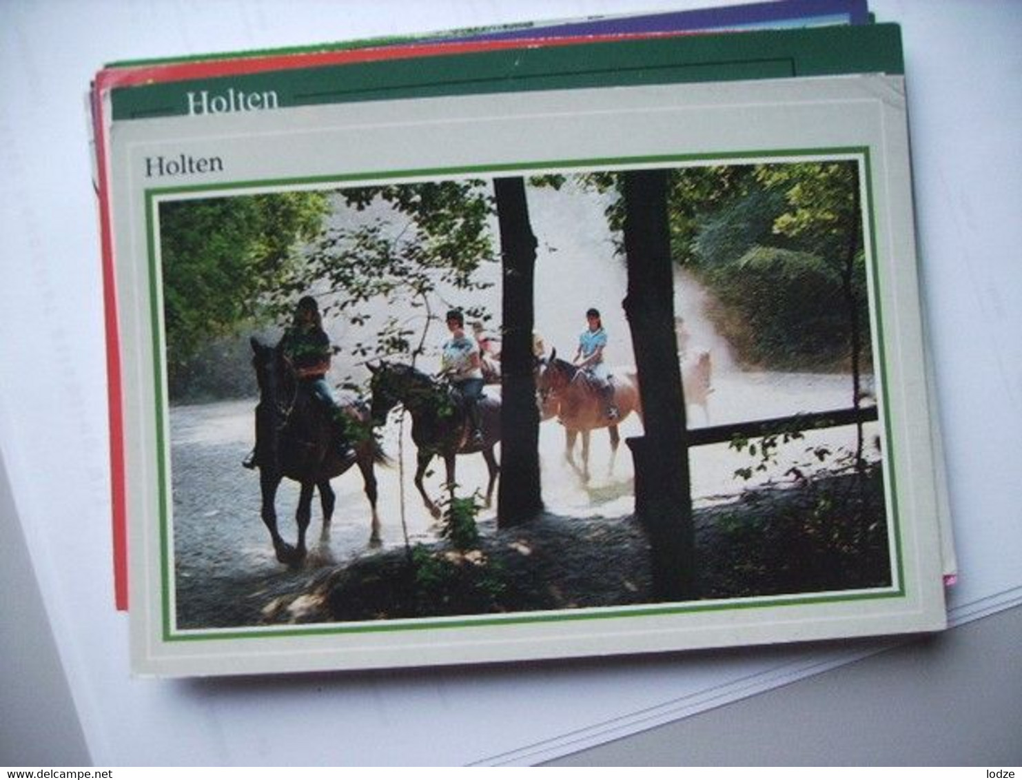 Nederland Holland Pays Bas Holten Fraai Met Paarden - Holten