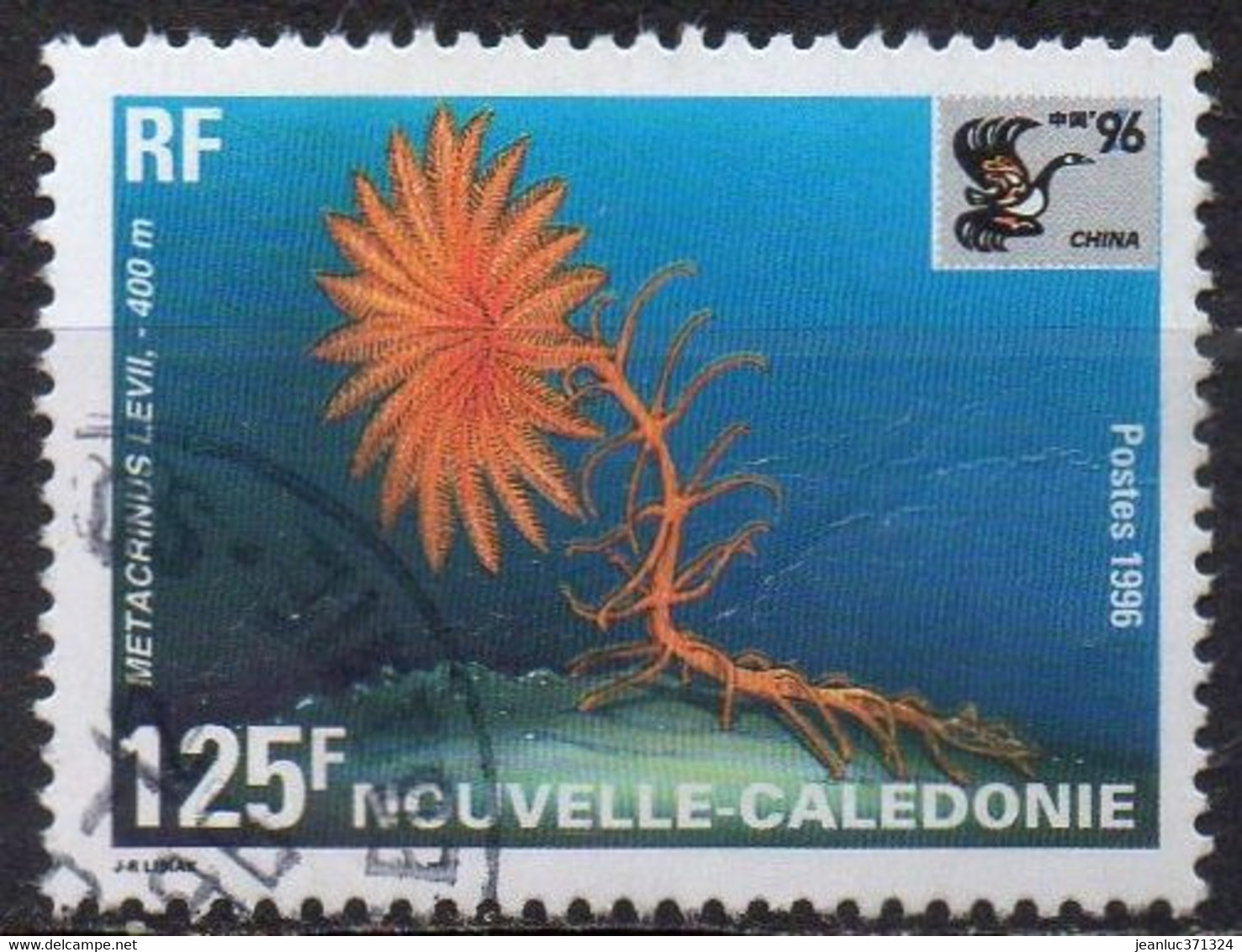 NOUVELLE CALEDONIE N° 711 O Y&T 1996 China 96 Exposition Philatélique Internationale Faune Marine (Metacrimus Levii) - Used Stamps