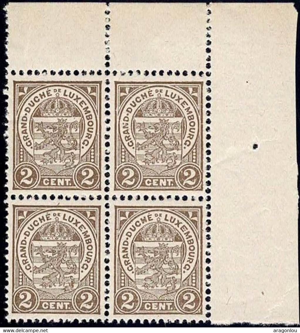 Luxembourg Luxemburg 1907 Ecusson Bloc 4x 2c. Neuf MNH** - 1907-24 Coat Of Arms