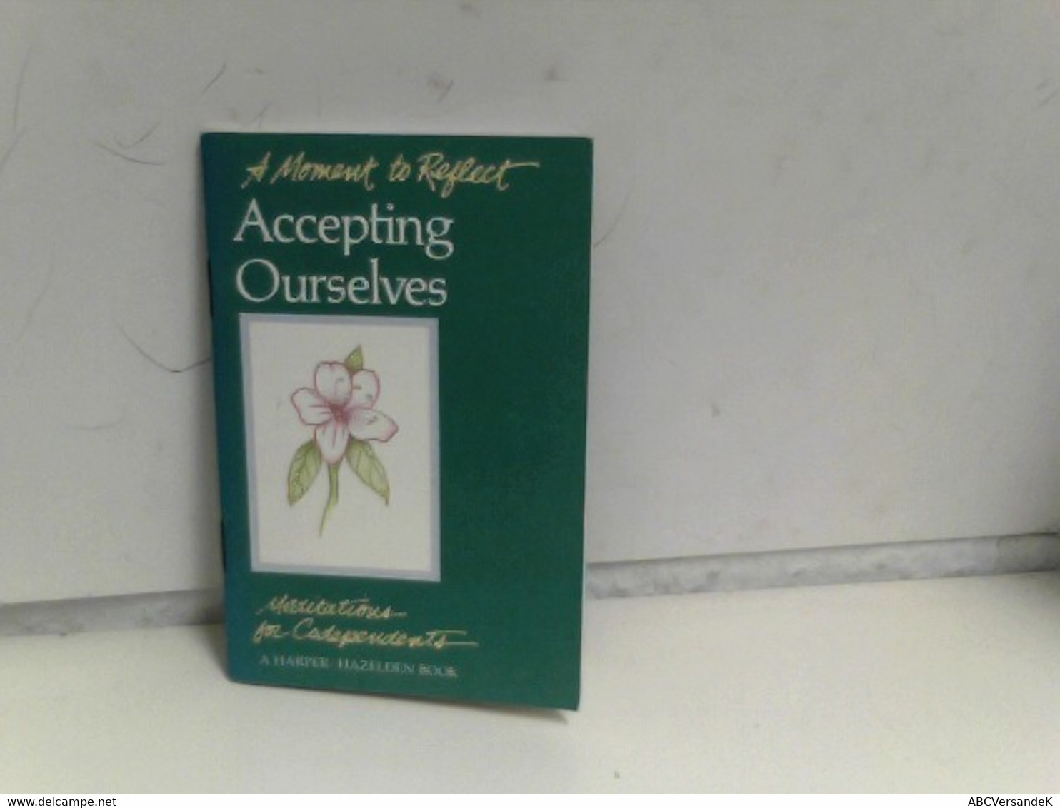 Accepting Ourselves: Meditations For Codependents (Moments To Reflect) - Philosophie