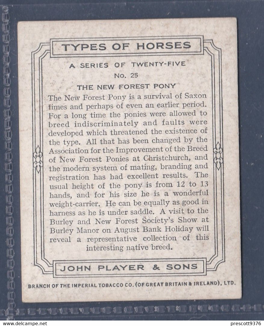 Types Of Horses 1939 - 25 New Forest Pony  - Original Players Cigarette Card - L Size 6x8cm - Phillips / BDV