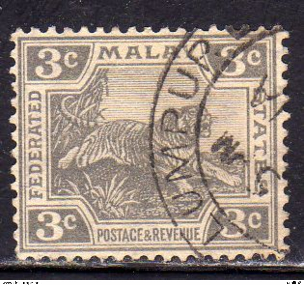 MALAYA MALAISIE MALESIA FEDERATED STATES 1922 1932 WILD FAUNA TIGER TIGRE CENT. 3c USATO USED OBLITERE' - Fédération De Malaya