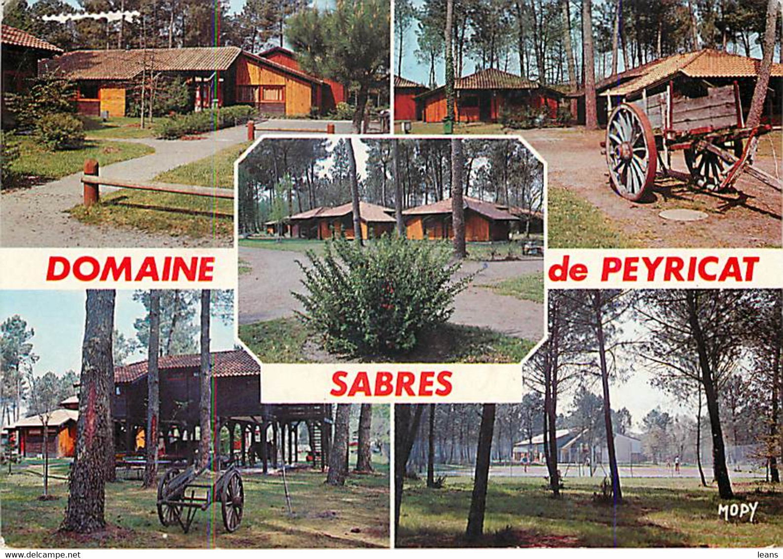 SABRES - Domaine De PEYRICAT - Sabres