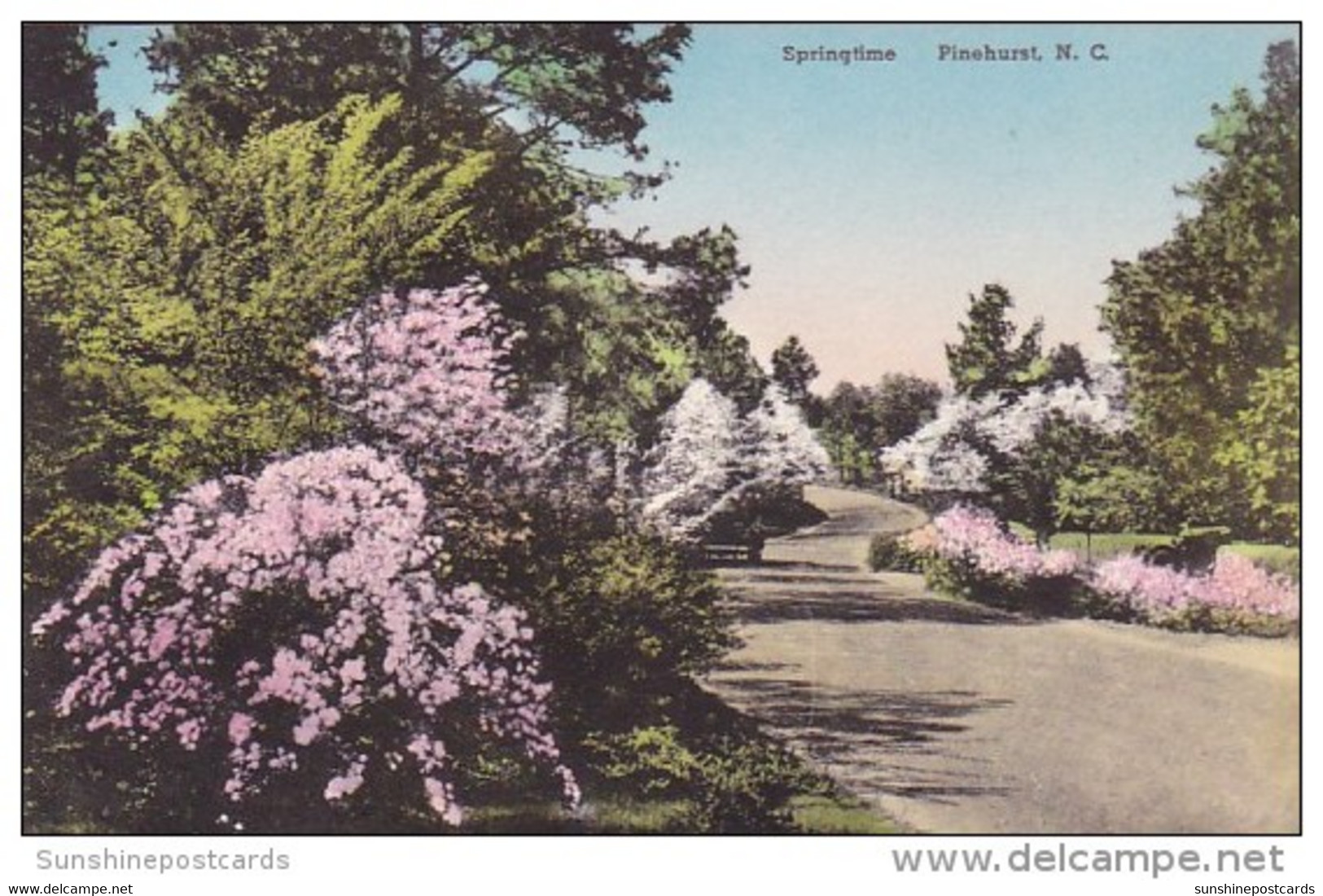 Springtime Pinehurst North Carolina Handcolored Albertype - Durham