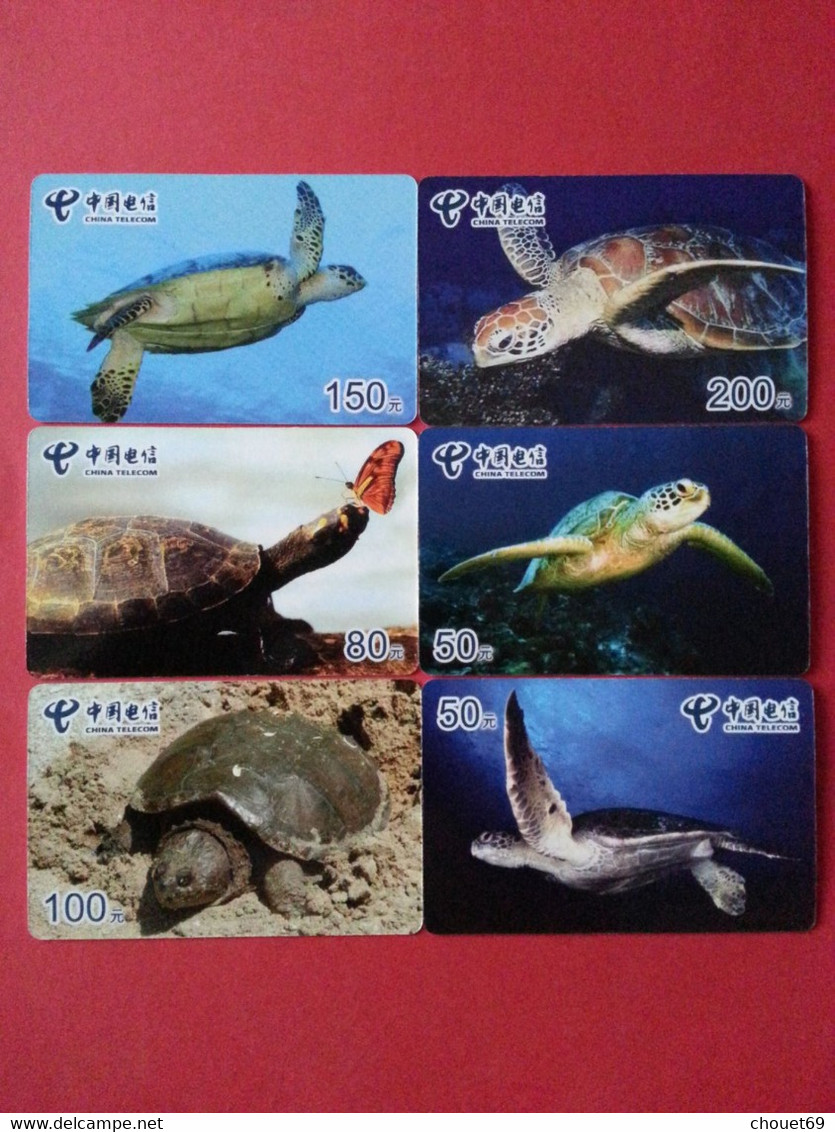 Tortues Turtle Série Complète De 6 Cartes Sur 6 Neuve China Telecom ((AA0621 - Turtles