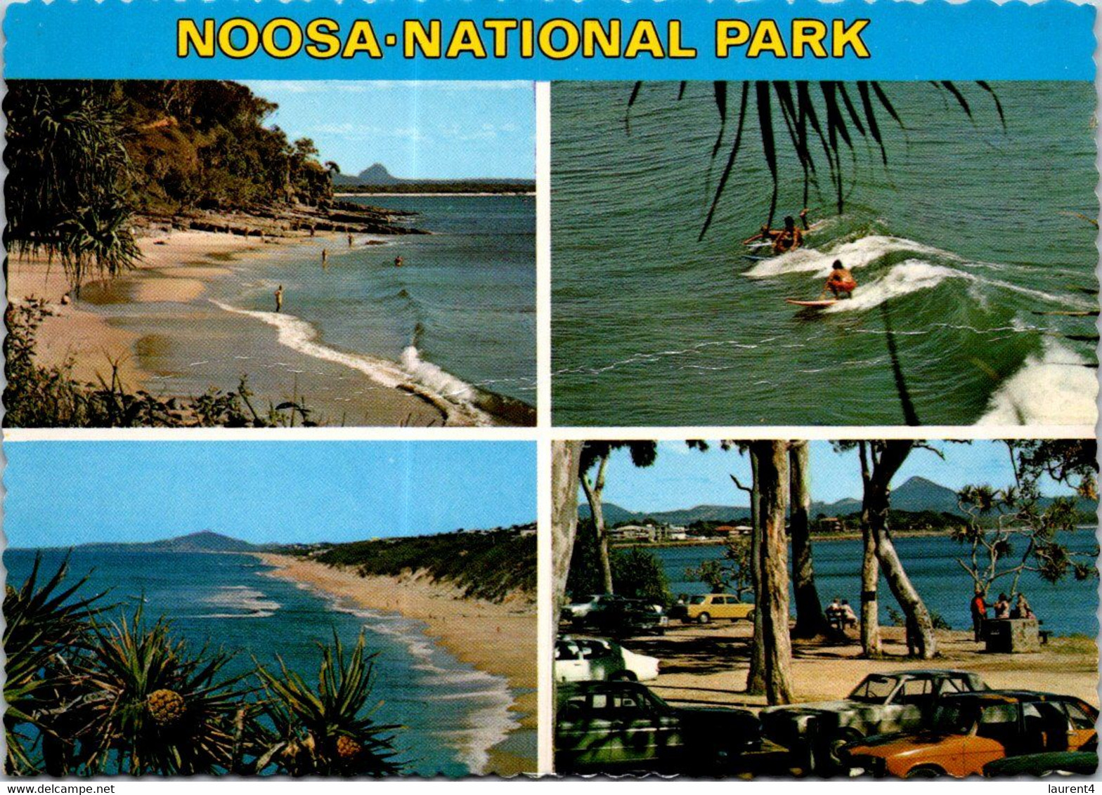 (2 F 1) Australia - QLD - Noosa National Park - Sunshine Coast