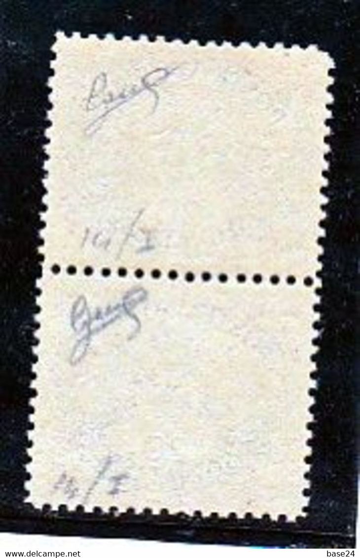 1946 Vaticano Vatican SEGNATASSE RIGHE LARGHE CARTA GRIGIA 20c (14/1) MNH** Coppia Firma Biondi - Postage Due