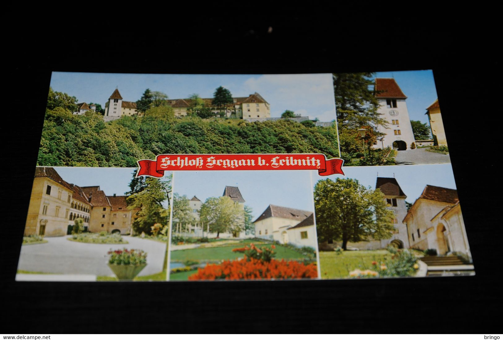 39032-                     SCHLOSS SEGGAU BEI LEIBNITZ, STEIERMARK - Leibnitz