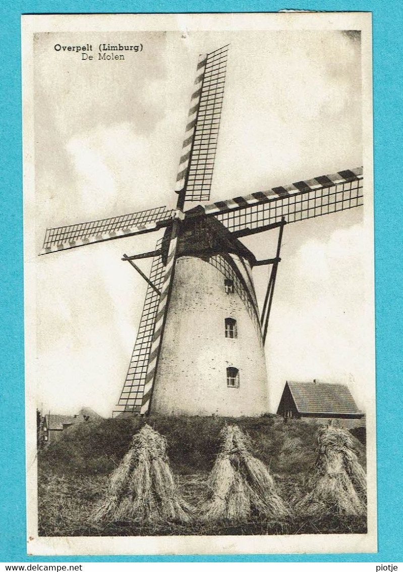 * Overpelt - Pelt (Limburg) * (Uitg M. Van Gaal) De Molen, Le Moulin, Mill, Muhle, Hooimijt, Meule De Foin, Old, Rare - Overpelt