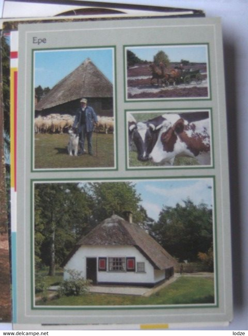 Nederland Holland Pays Bas Epe Met Schapen, Koeien En Paarden - Epe