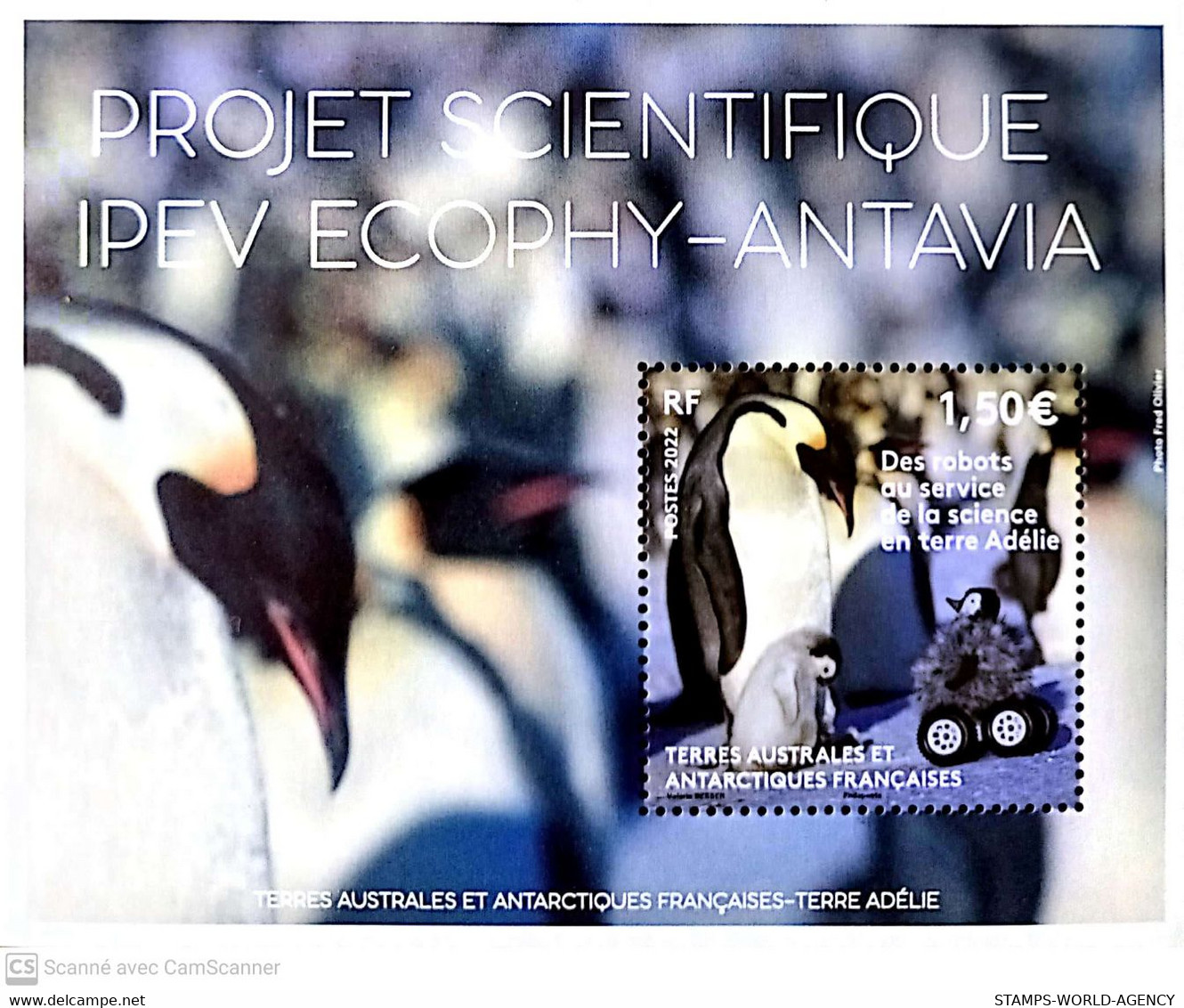 2022-01- TAAF- FSAT-  BIRDS PINGUINS              1V      MNH** - Antarktischen Tierwelt