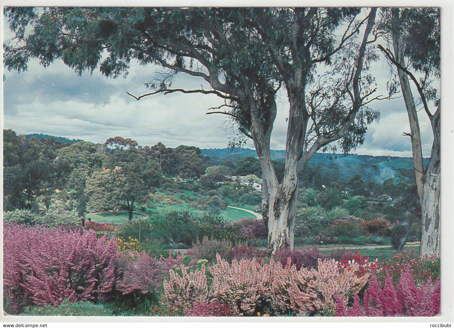 Wittunga Botanic Garden, Blackwood - Sonstige & Ohne Zuordnung