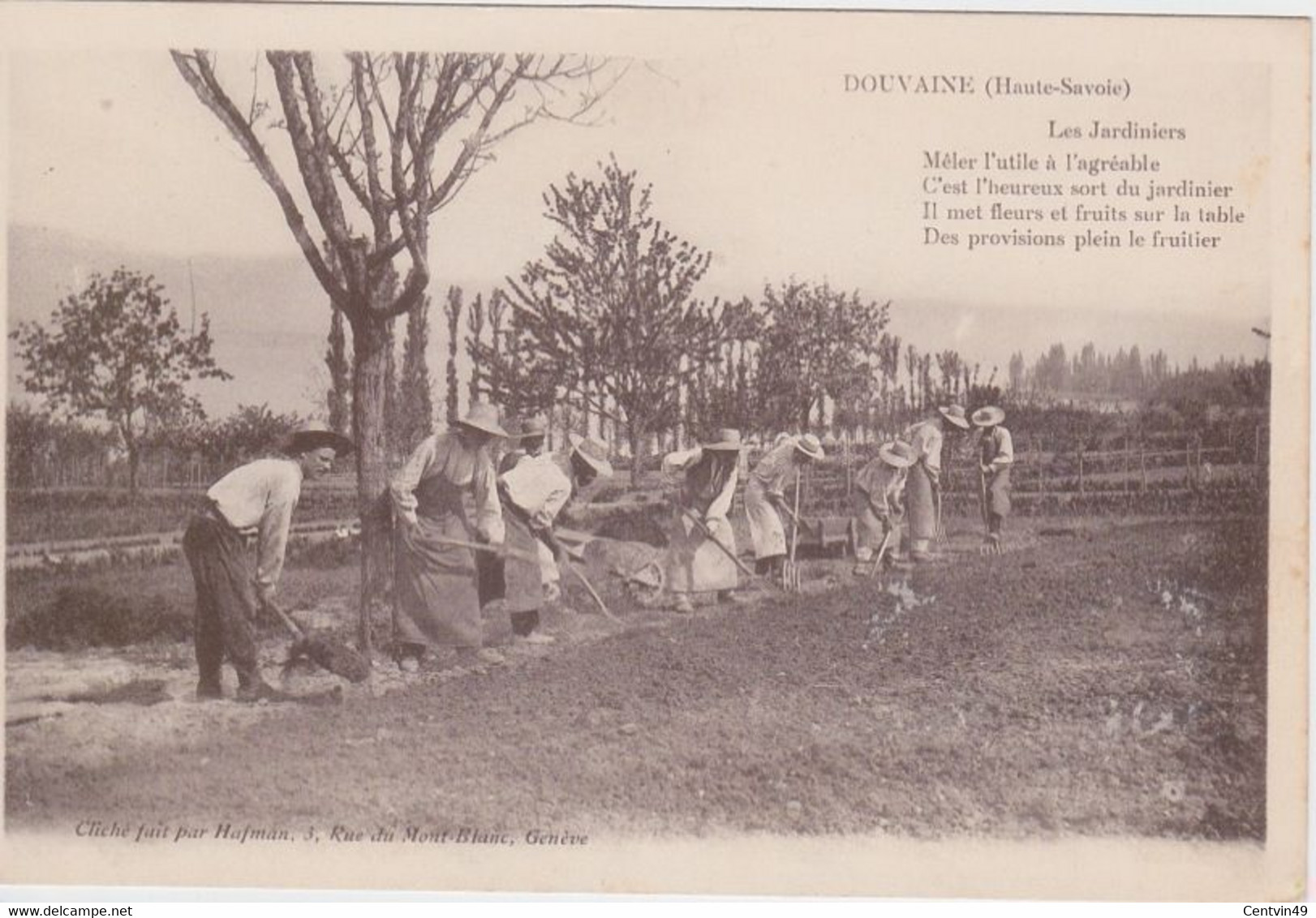 Carte Postale De France - Haute-Savoie (74) - Douvaine Les Jardiniers - Dos écrit - Douvaine