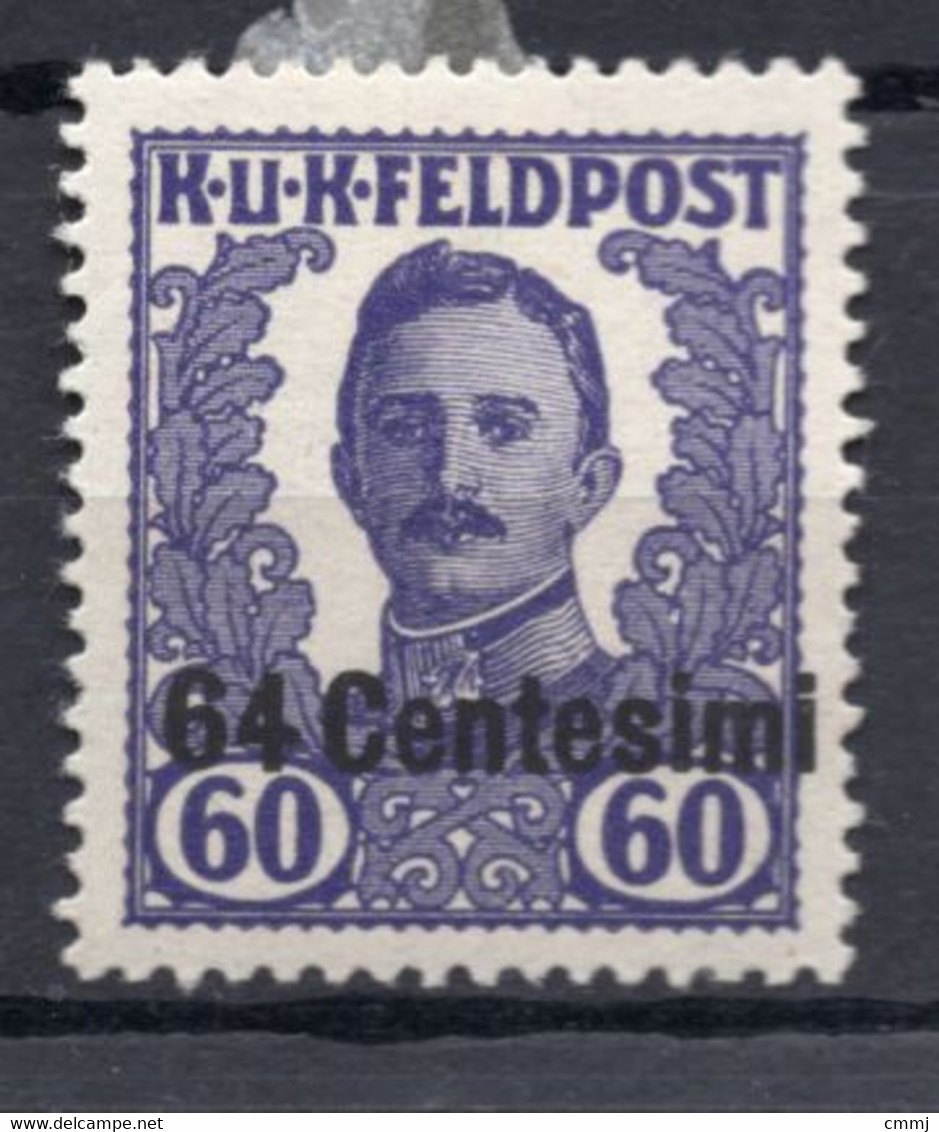 1918 - ITALIA / FRIULI - Catg. Unif. 30 - LH - (W03.) - Occ. Autrichienne