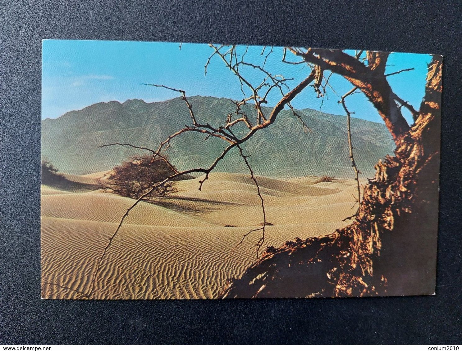 Death Valley, Sand Dunes, Nicht Gelaufen (1982); #H71 - Death Valley