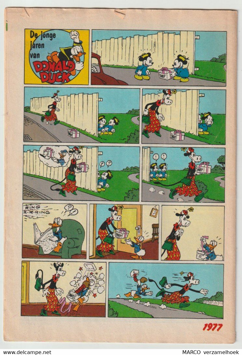 40. Strip Walt Disney's Donald Duck (NL) 1977 - Donald Duck