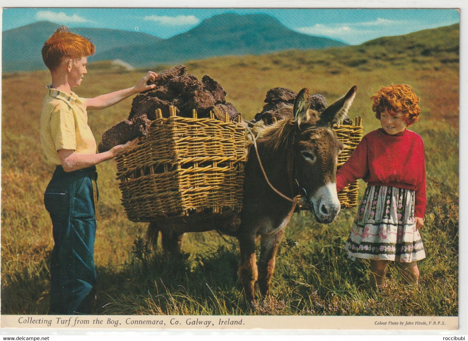 Galway, Collecting Turf From The Bog, Connemara - Galway