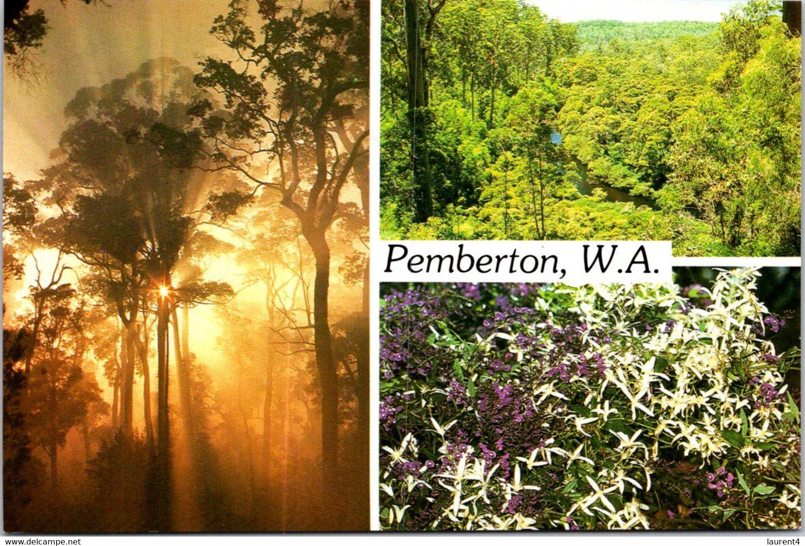 (2 F 28) Australia - WA - Pemberton (posted With Australia Post Office Stamp) - Sonstige & Ohne Zuordnung