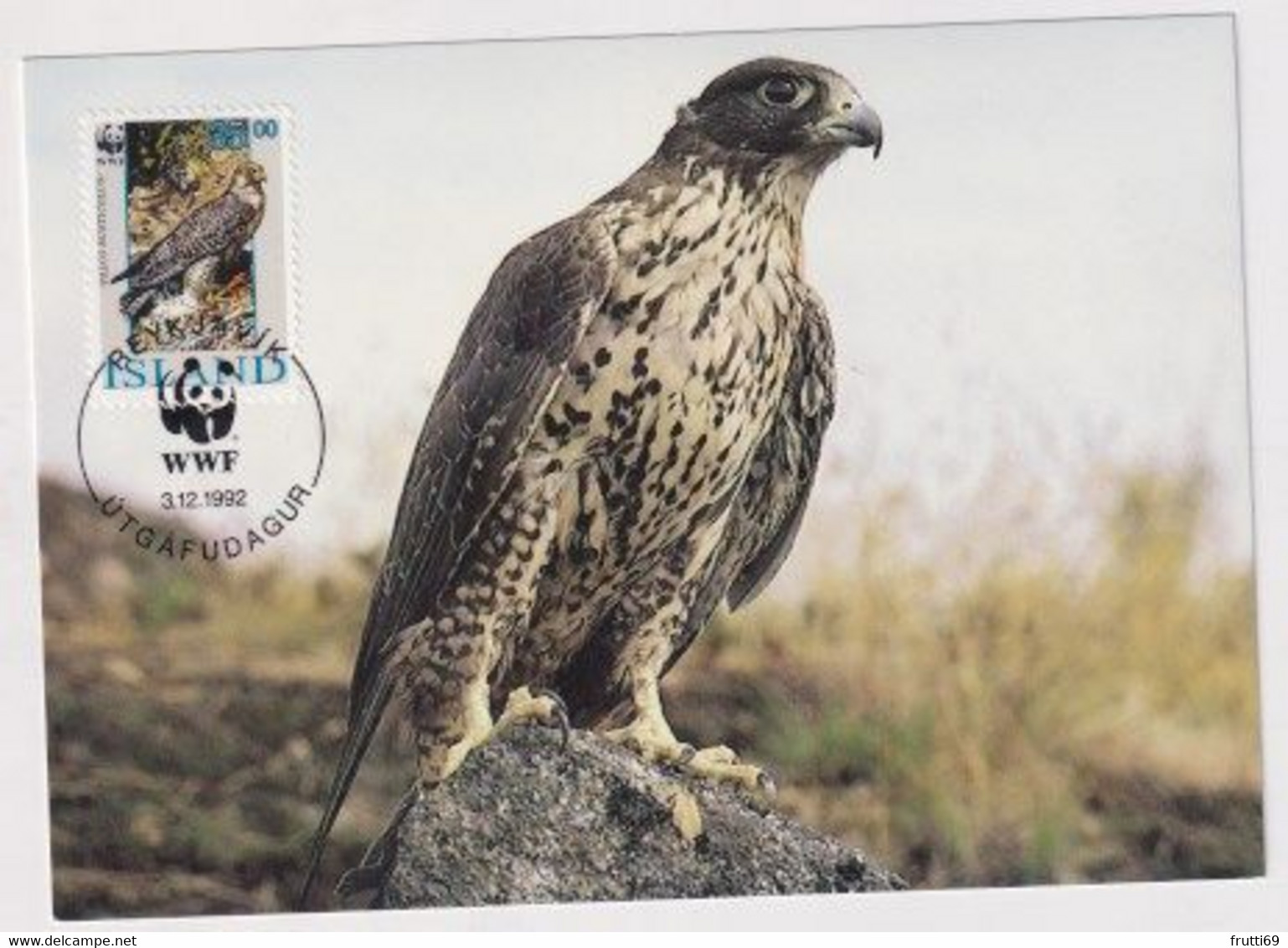 MC 034319 ISLAND - Gyrfalcon - Cartes-maximum