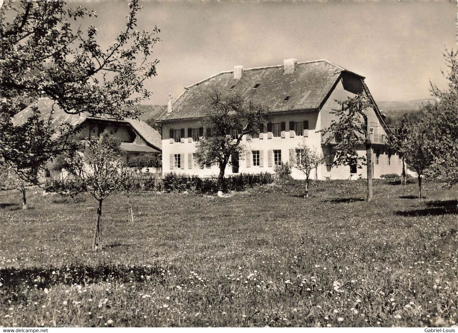 Maison De Vacances Champfahy La Neuveville  ( 10 X 15) - La Neuveville